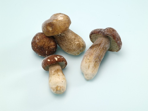 冷凍牛肝菌菇Q1 4-6CM<br/>FROZEN WHOLE PORCINI PREMIUM 4-6CM <br/>  |時蔬|菌菇