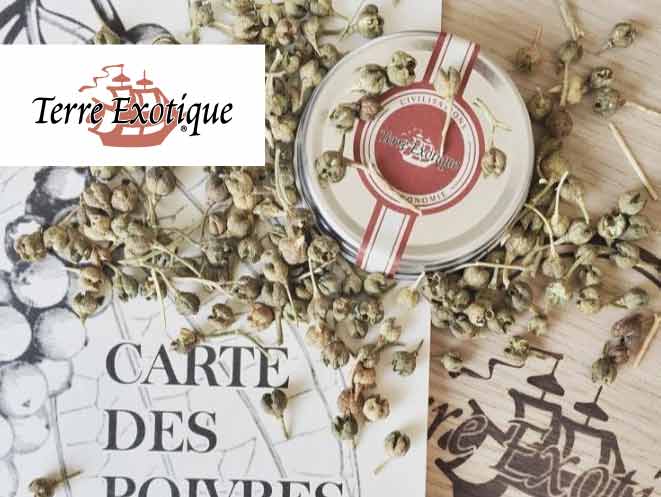 泰芮香料風情 TERRE EXOTIQUE