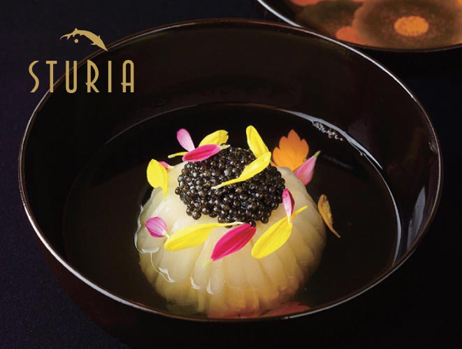 詩圖麗亞STURIA