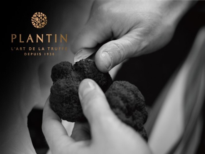 芃嵐汀 PLANTIN