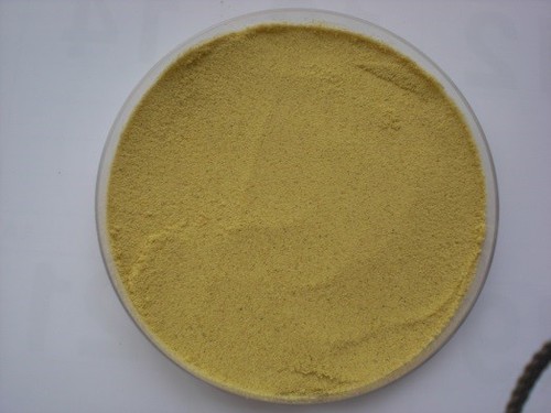 柚子粉<br/>YUZU PEEL POWDER 50PASS<br/>  |烘焙|水果製品