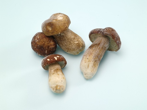 冷凍牛肝菌菇Q1 4-6CM<br/>FROZEN WHOLE PORCINI PREMIUM 4-6CM <br/>產品圖