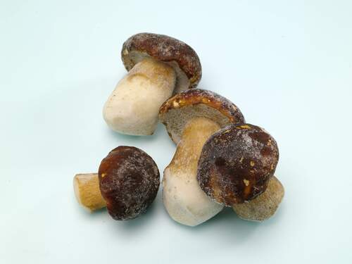 冷凍牛肝菌菇Q2 4-7CM<br/>FROZEN WHOLE PORCINI STANDARD 4-7CM <br/>產品圖