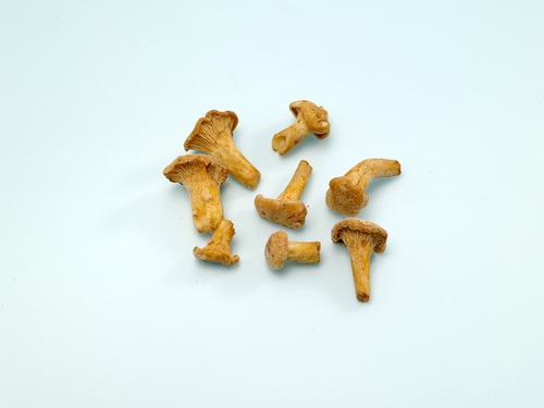冷凍黃蘑菇 2-4CM<br/>FROZEN CHANTERELLES 2-4CM<br/>  |時蔬|菌菇