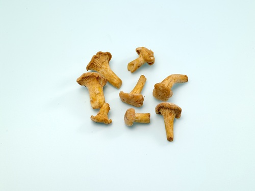 冷凍黃蘑菇 2-4CM<br/>FROZEN CHANTERELLES 2-4CM<br/>產品圖