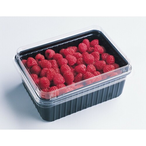 冷凍精選覆盆子(可裝飾用)<br/>IQF RASPBERRY MECKER<br/>  |烘焙|果泥果粒