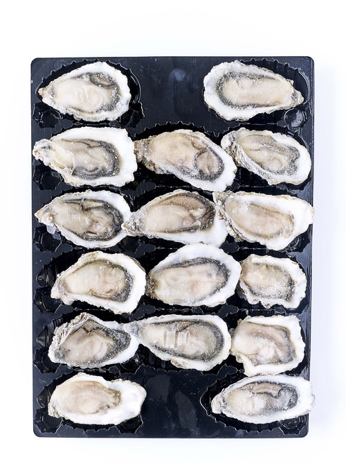 冷凍布列塔尼半殼生蠔2號(48入)<br/>FROZEN RAW HALF SHELLED OYSTER FROM BRITTANY NO.2 48PC/CS  |海鮮|生蠔