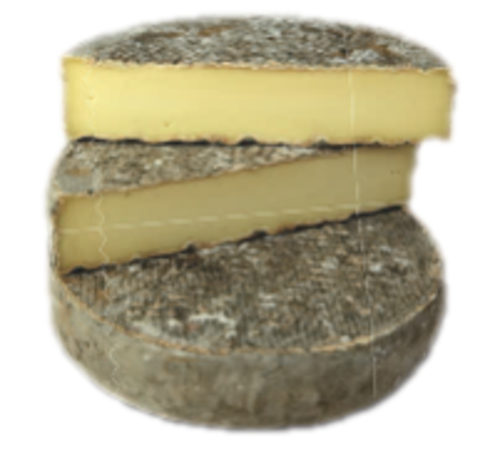 聖奈克戴爾乾酪<br/>ST-NECTAIRE  |乳製品|洗皮乳酪