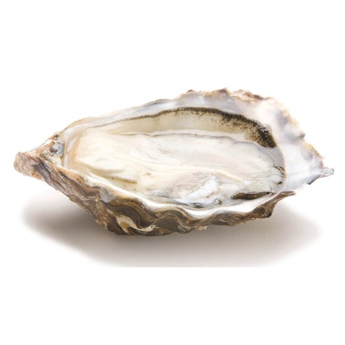 黑珍珠生蠔<br>HUITRE PERLES NOIRES OYSTER  |海鮮|生蠔