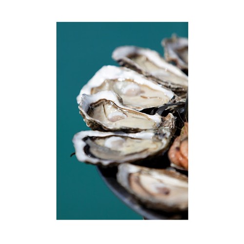 諾曼第生蠔<br/>HUITRES FINE NORMANDIE OYSTER  |海鮮|生蠔