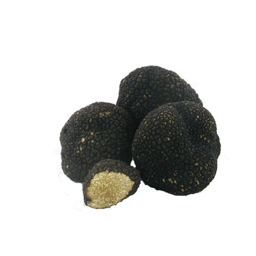 新鮮夏季黑松露<br/>FRESH SUMMER BLACK TRUFFLE<br/>  |時蔬|松露