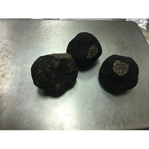 冬季黑松露(整顆完整)<br/>WINTER PERIGORD BLACK TRUFFLE<br/>產品圖