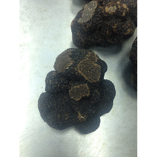 (整顆完整)一級法國冬季黑松露<br/>WINTER PERIGORD BLACK TRUFFLE 1ST CHOICE<br/>產品圖