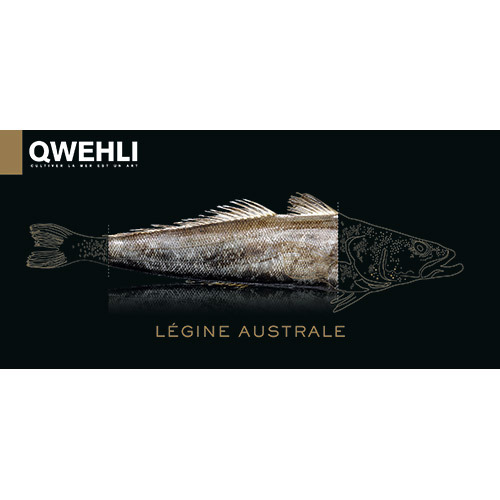 冷凍小鱗犬牙南極魚片<br/>FZ PATAGONIAN TOOTHFISH (LEGINE) FILET <br/>產品圖