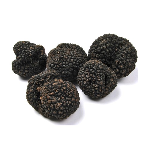 義大利新鮮黑松露<br/>FRESH ITALY BLACK TRUFFLE產品圖