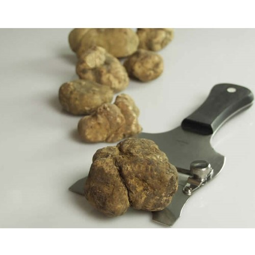 義大利新鮮白松露<br/>FRESH ITALY WHITE TRUFFLE  |時蔬|松露